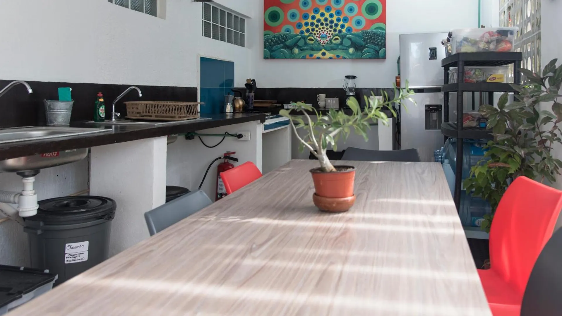 Homestay Casa Shambala Playa Apartment Playa del Carmen